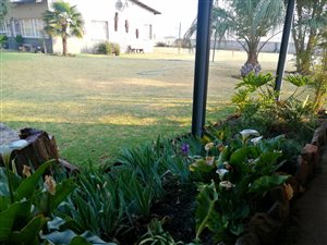 35.5 ha Farm in Waterval Boven