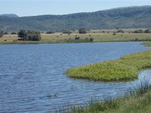1655 ha Farm in Modimolle