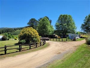 14 Bed House in Bulwer