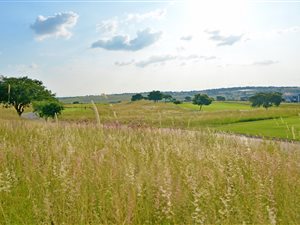 555 m² Land available in Copperleaf