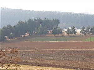 27 ha Smallholding in Lions River