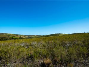 1500 m² Land available in Brackenridge