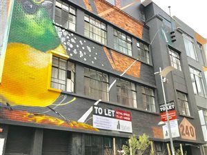 1 Bed Apartment in Maboneng