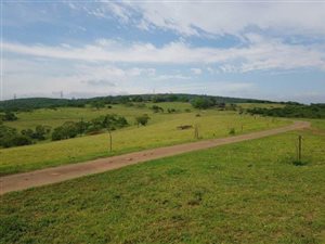 155 ha Farm in Ashburton