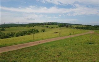 155 ha Farm in Ashburton