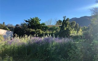 1428 m² Land available in Riebeek Kasteel
