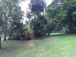 1200 m² Farm in Empangeni