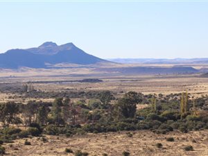 3491 ha Farm in Murraysburg