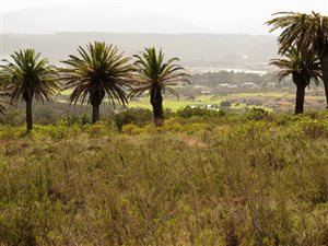 944 m² Land available in Baron View