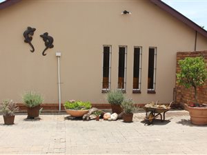 3 Bed House in East Lynne