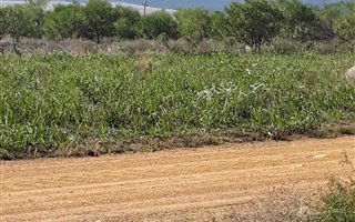 1487 m² Land available in Fisherhaven