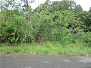 1239 m² Land available in Uvongo