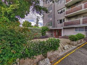 Bachelor apartment in Rondebosch