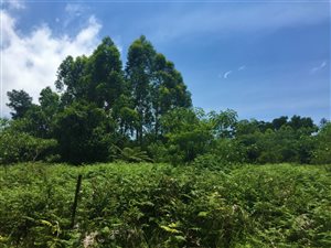 8762 m² Land available in Hilton