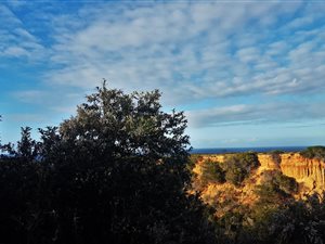 838 m² Land available in Outeniqua Strand