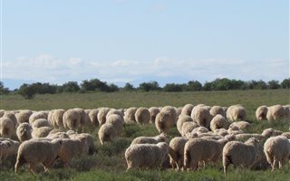 2842 ha Farm in Graaff Reinet