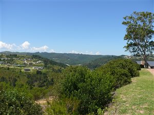 6952 m² Land available in Knysna Central