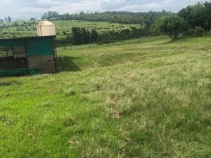 20 ha Land available in Cato Ridge