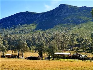 22767 ha Farm in Seaview