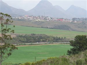 80 ha Farm in Kareedouw