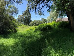 4047 m² Land available in Himeville