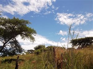 2220 m² Land available in Sunnyridge