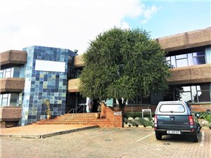 4400 m² Office Space in Bedfordview