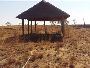 23.6 ha Land available in Honingnestkrans