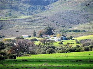 729 ha Farm in Tulbagh