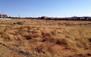 925 m² Land available in Wild Olive Estate