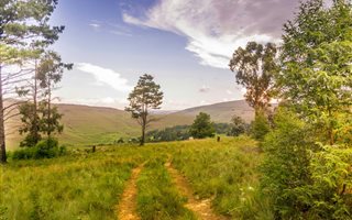 2140 m² Land available in Underberg