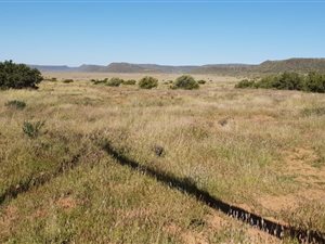 992 ha Farm in Fauresmith