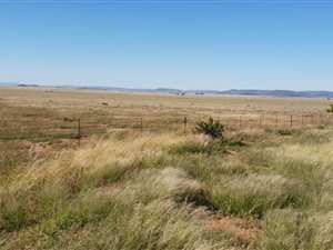 992 ha Farm in Fauresmith