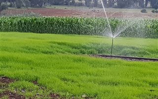 34 ha Farm in Sherman Park AH