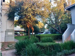 2 Bed Apartment in Bryanston