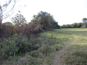 8576 m² Land available in Bathurst and Surrounds