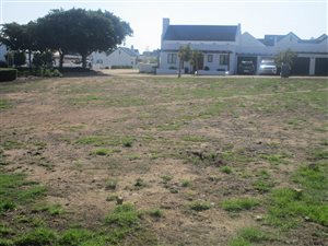 608 m² Land available in Croydon Olive Estate