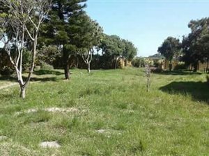 8.9 ha Farm in Philippi