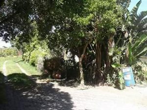 8.9 ha Farm in Philippi