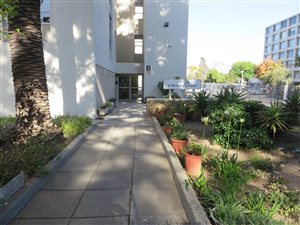 flats to rent in wynberg