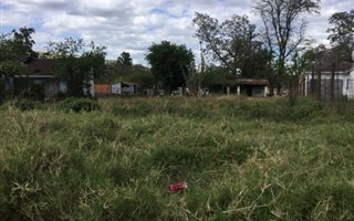 2 Bedroom House in Edendale