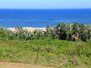 2051 m² Land available in Bazley Beach