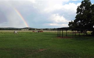 9.8 ha Commercial Farm in Wilgeboom