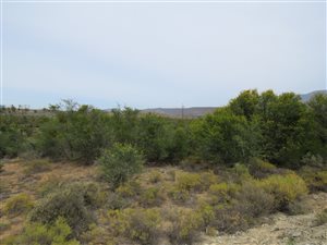 26 ha Farm in Barrydale
