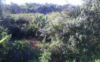 540 m² Land available in Aston Bay
