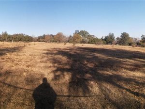 9.1 ha Land available in Crowthorne