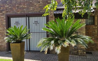 3 Bedroom House in Geelhoutpark