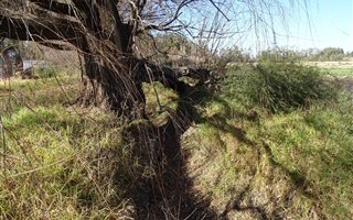25.5 ha Farm in Vyfhoek
