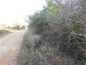 8565 m² Land available in Bathurst and Surrounds