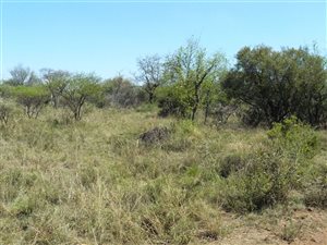 3.2 ha Land available in Roodeplaat